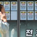 강남-183 이미지