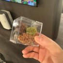 1659 | [제주] 해비치 호텔&amp;리조트 - 리조트 오션뷰 주니어 트윈 스위트(1659호) 아기랑 2박 숙박 조금 불편 후기