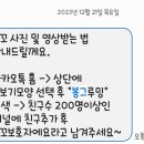 봉그루밍 이미지