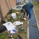 연동초교 이미지