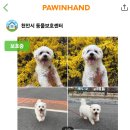 뽀송