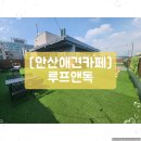 루프앤독 이미지