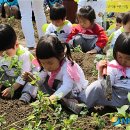 꽃초롱자연학습장 이미지