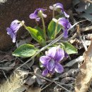 동산아파트 앞 이미지