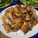 호접치자연팜 이미지