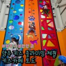 부흥로 버즘나무테마거리 | 키즈 클라이밍 체험 제대로 즐기는 양주 키즈카페 토도