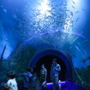 율리농장 이미지