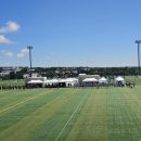 제주공천포전지훈련센터 야구장 이미지