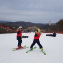 알펜시아리조트 이미지