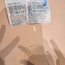 우도해바라기민박 | 제주도 일주일 여행 (8일차)
