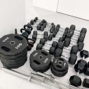 허니머슬짐 이미지