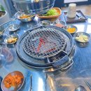 돗배갈매기 이미지