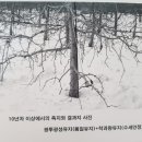 세형농장 네이버블로그