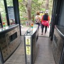 (24.5.)[원주] 소금산그랜드밸리 출렁다리 2개와 잔도길 추천