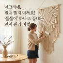 마크라메 소품 제작 | 빨면 망하는 이효리 감성? 대형 마크라메 월행잉 먼지 관리의 충격적 진실