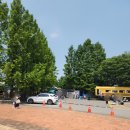 용인자동차공업(주) | [용인 자동차박물관] 삼성화재 모빌리티 뮤지엄 (입장료 할인, 주차, 꿀팁)