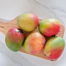 브리지팜 이미지