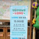 청암관광농원 눈썰매장