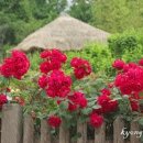 개운중학교 이미지