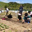 진주텃밭 이미지