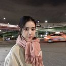 하얀사 | 아크네 스튜디오 머플러 직구로 구입했어요! (수지, 장희령 목도리)