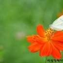 송화미용실 - 중구 | 송화미용실