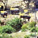 한국가축컨설팅 이미지