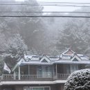 박씨네민박