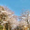 개화1리마을회관 이미지