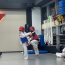 STS한국체대태권도 이미지