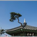 마당기획