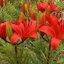 큰고개공원 이미지