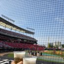 광주112 | 광주 야구장 &#39;기아 챔피언스 필드 K9존 112블럭 6열 &#39; 방문기