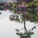 허상과 실상의 공존 이미지