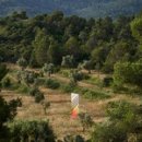 Luminous value 이미지