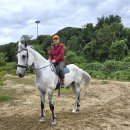 미래검도.레포츠클럽 | 동서울 승마클럽, 2026 병오년(丙午年) 붉은 말처럼 힘찬 도약 ‘힐링 승마 라이프’