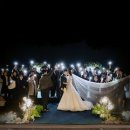 비더블유컴퍼니 | Our wedding story 🤍💍