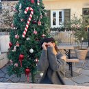 아라육로57번길-R | 경주 황리단길 2박 3일코스 가을여행 2일차_대릉원,아웅,베어58,델레테테,경주십원빵본점,범굴,황리화덕가