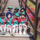 더하버드어린이집 이미지