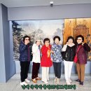 영동군 난계국악박물관 | 충북영동군난계국악박물관.난계사.구미박정희역사자료관