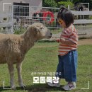 대구에서 1시간, 상주 모동목장 방문 후기 (+먹이주기 체험)