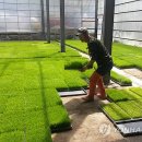 창촌2리 이미지