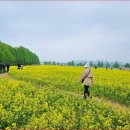 마음 - 담양군 메타프로방스2길 10 | 마음