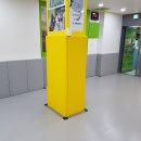 소나무향기 태권도 이미지