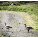 양지농장 이미지