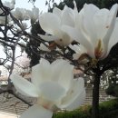 영복여자고등학교 이미지