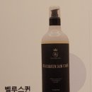 벨루스퀸 네이버블로그