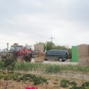 지푸라기농장 이미지