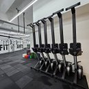 크로스핏 앤츠 이미지