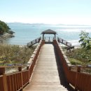 선유 손칼국수 이미지